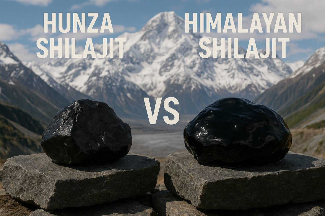 Hunza vs Himalayan Shilajit: Why Mister Gummies Choose the World’s Purest Shilajit for You