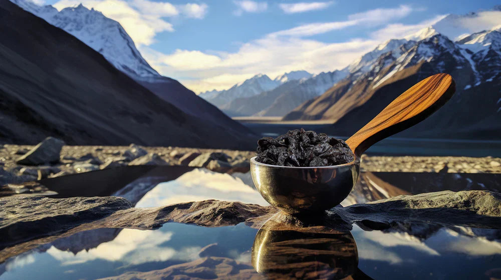 The Magic of Shilajit Gummies: Nature's Wellness Boost in a Chewable Form