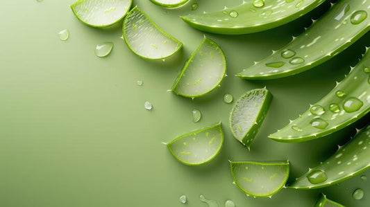 Aloe Vera